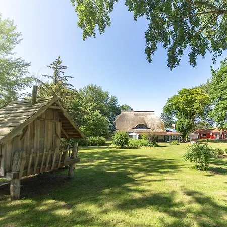 Holiday home Ferienhaeuser Suhrendorf *